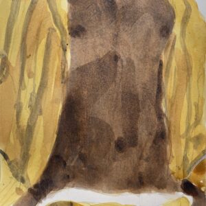 Other series: 'Yellow Shirt, Yellow Briefs'