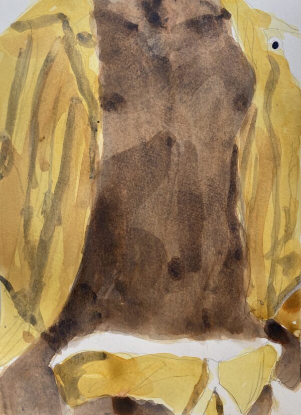Other series: Yellow Shirt, Yellow Briefs